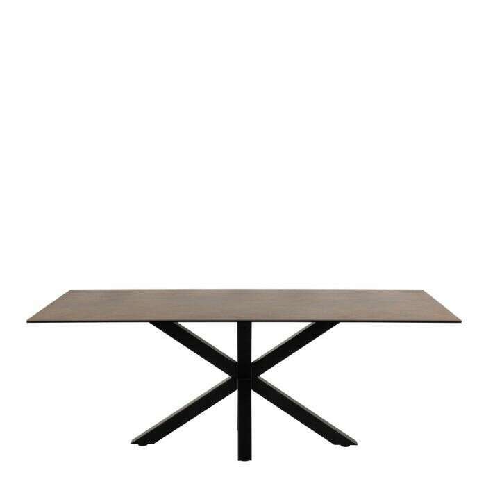 Luxe Dining Company:Phoenix 2M Bronze Ceramic Dining Table